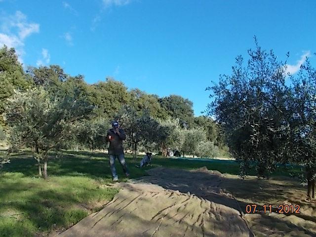 Agriturismo Le Vergare Offagna Buitenkant foto