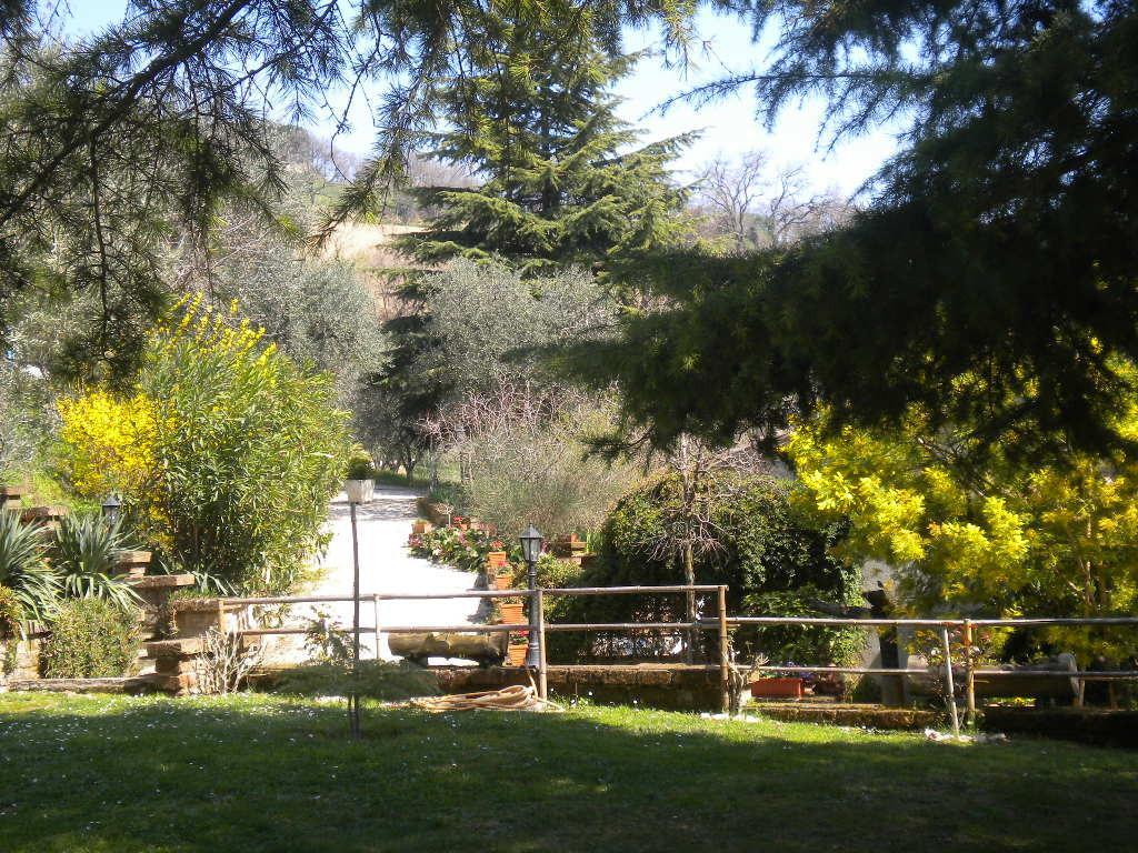 Agriturismo Le Vergare Offagna Buitenkant foto